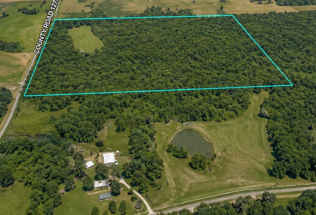 1270 East County Road Lerna, IL 62440 - Photo 4 of 4