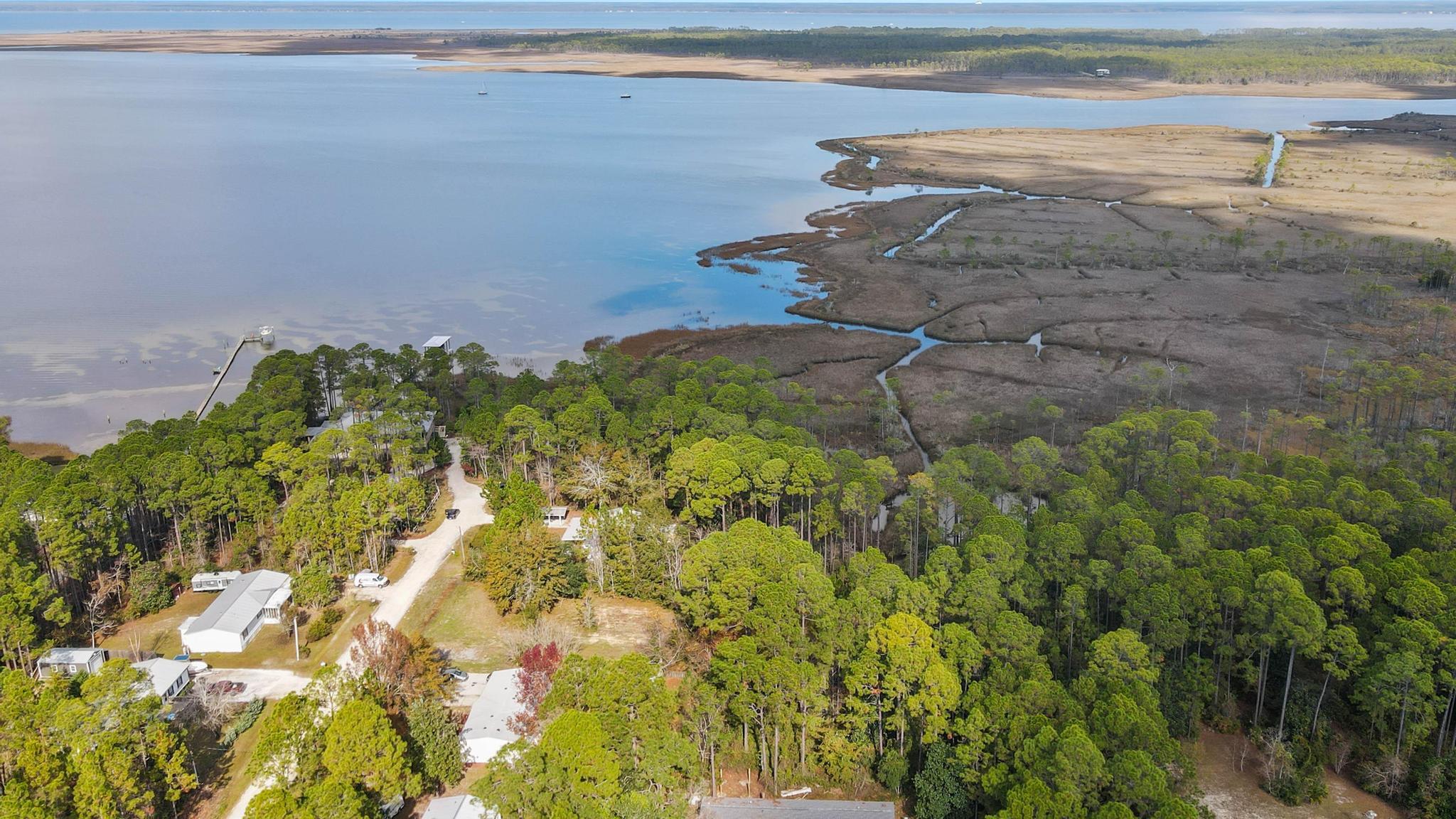 64 21st Street Santa Rosa Beach, FL 32459 - Photo 11 of 16 a view of a plant with a yard