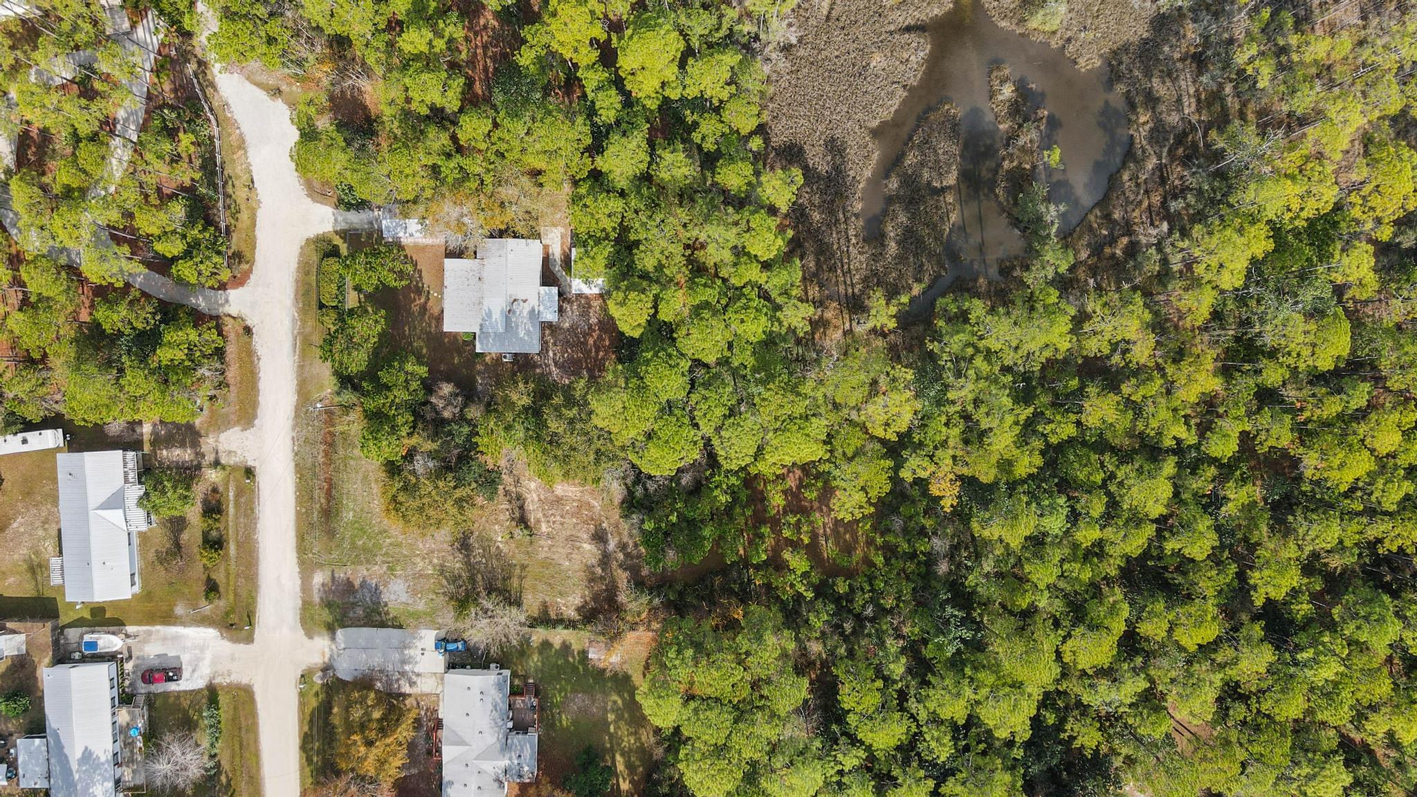 64 21st Street Santa Rosa Beach, FL 32459 - Photo 15 of 16 a picture of a tree