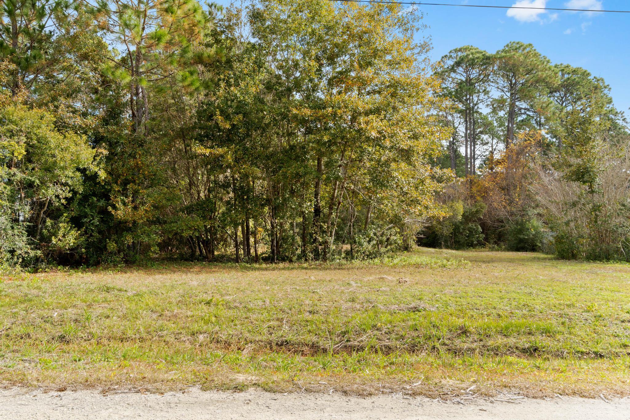 64 21st Street Santa Rosa Beach, FL 32459 - Photo 8 of 16 a view of a yard with a dry plant
