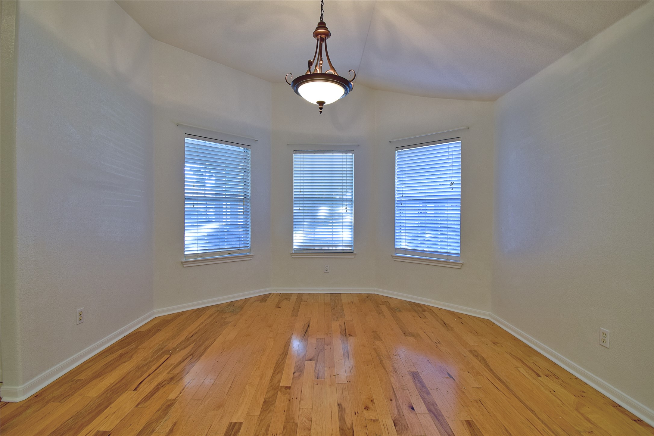 120 Greenside Lane Georgetown, TX 78633 - Photo 5 of 27