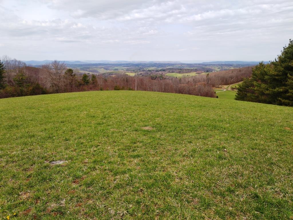 2309 Birchtree Road Hillsville, VA 24343 - Photo 2 of 33 Gallery Image 2