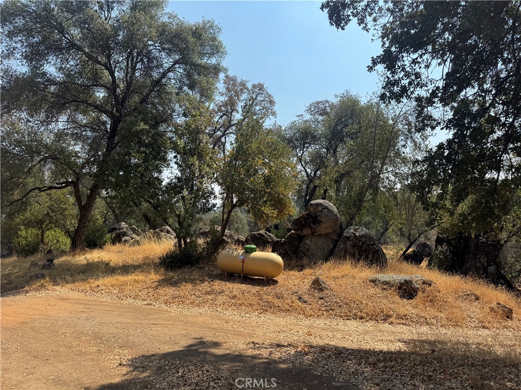 5393 Schafer Road Mariposa, CA 95338 - Photo 10 of 19