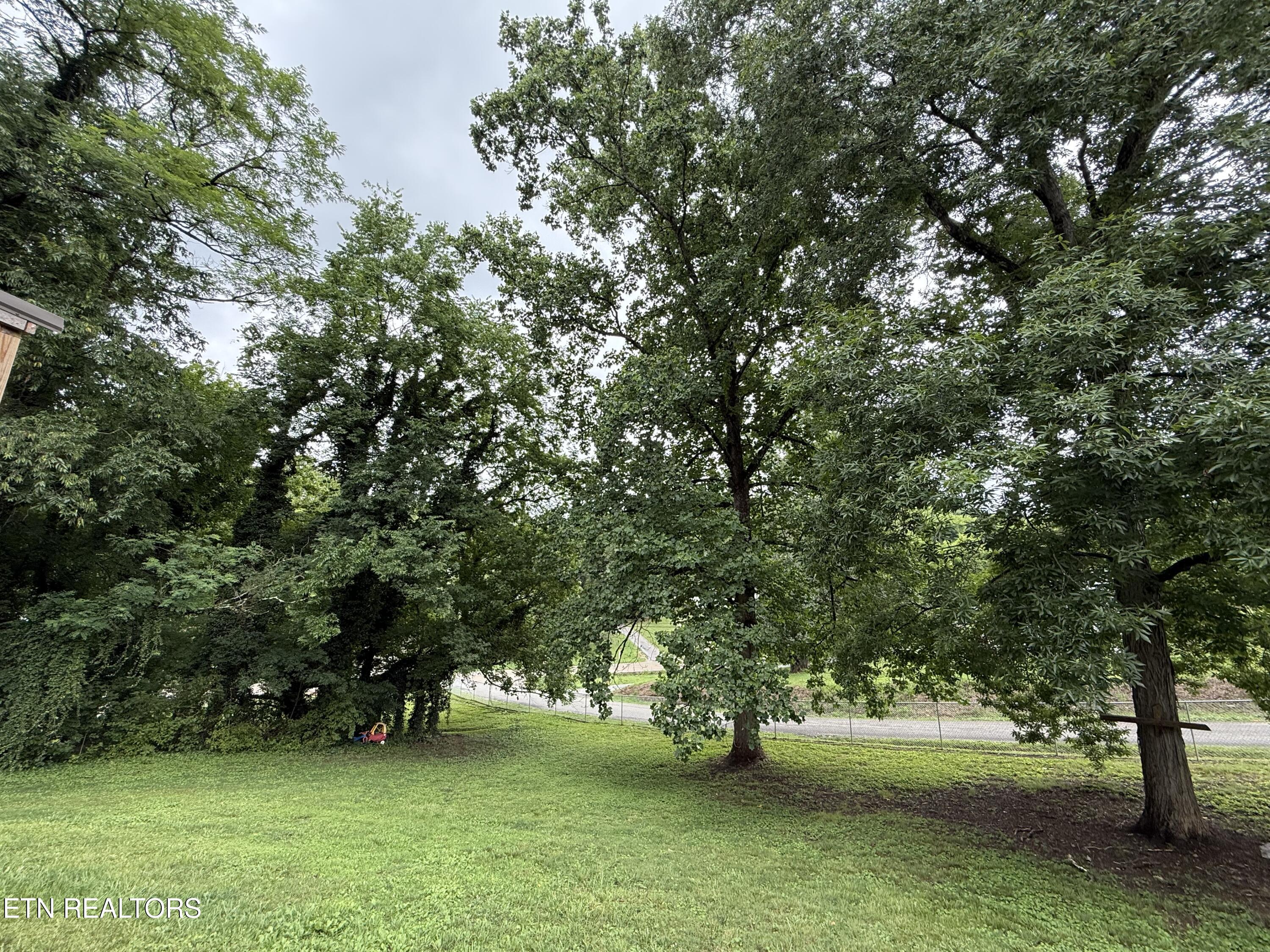 2005 Neubert Road Knoxville, TN 37914 - Photo 31 of 38 IMG_2640