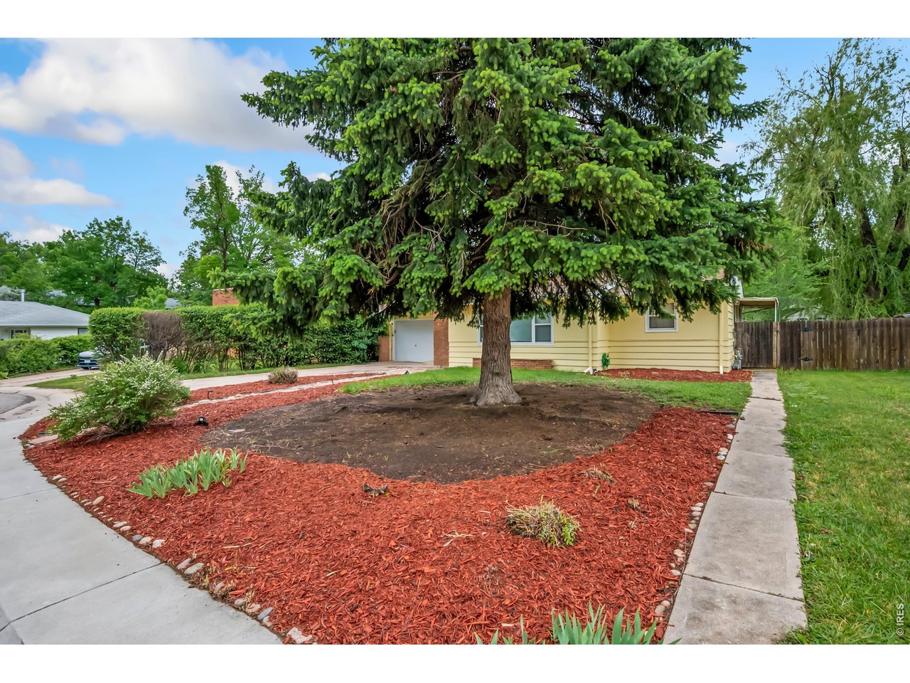 1709 Dale Court Fort Collins, CO 80521 - Photo 3 of 26 a view of a yard with plants and trees