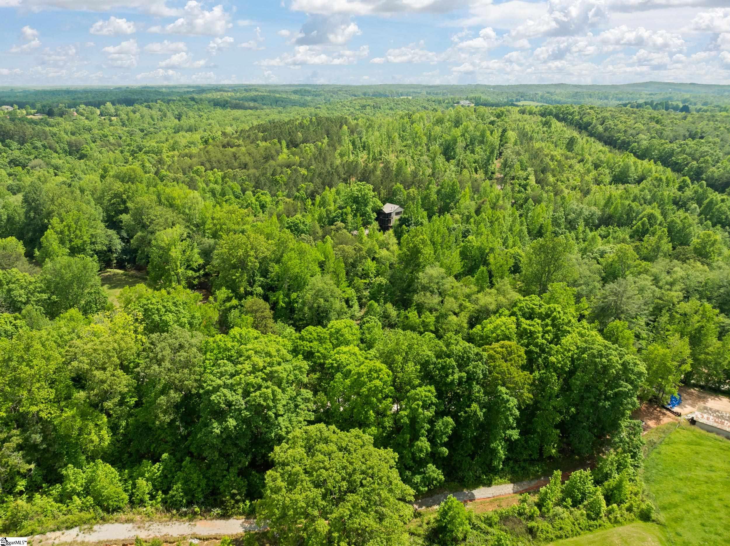 707 Lister Road Landrum, SC 29356 - Photo 24 of 28