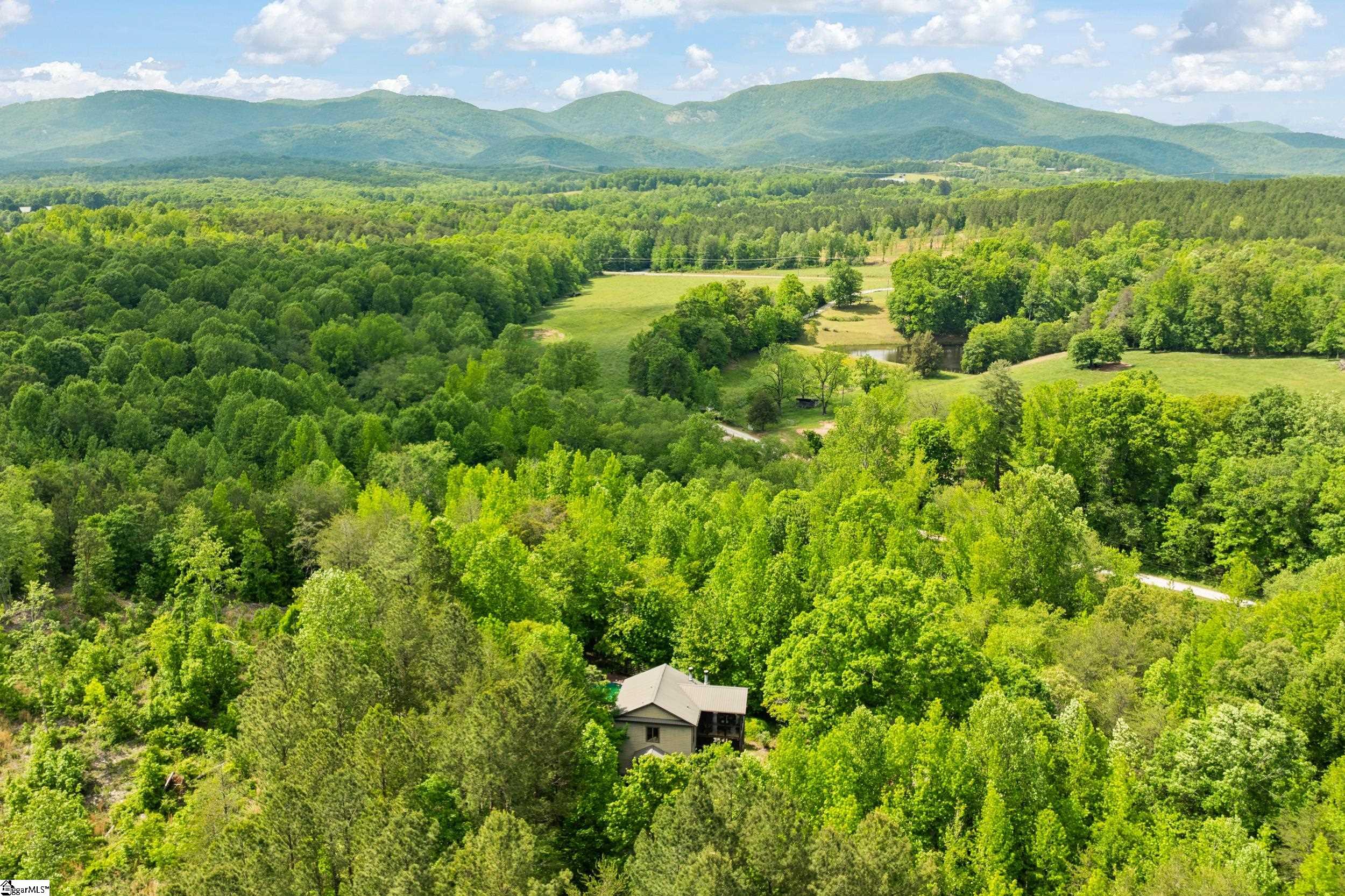 707 Lister Road Landrum, SC 29356 - Photo 3 of 28