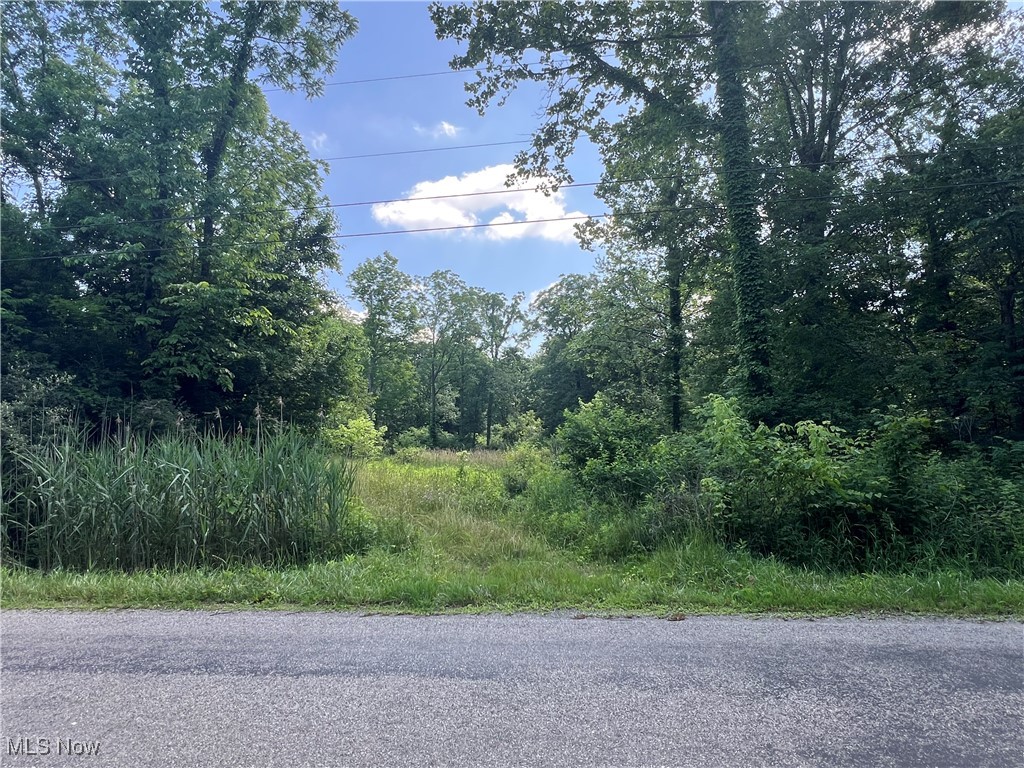 21251 Pitts Road Wellington, OH 44090 - Photo 14 of 14 View of asphalt road