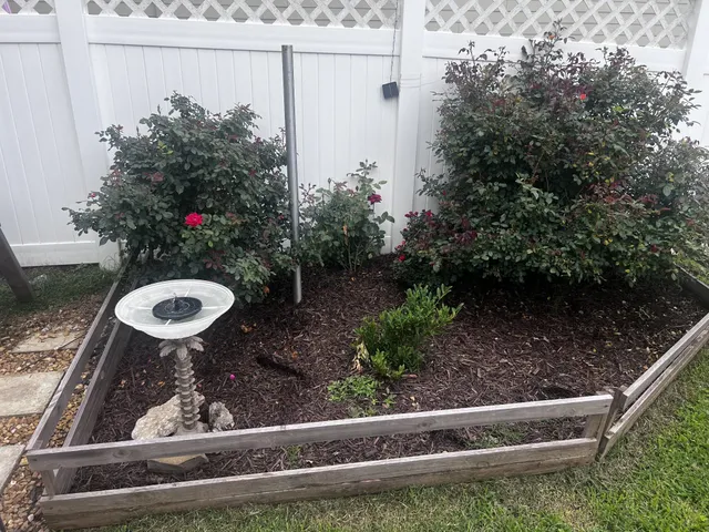 a flower plants in front of a house