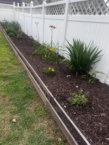 a bunch of flowers are in a garden