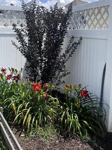 a view of a terrace with furniture and garden