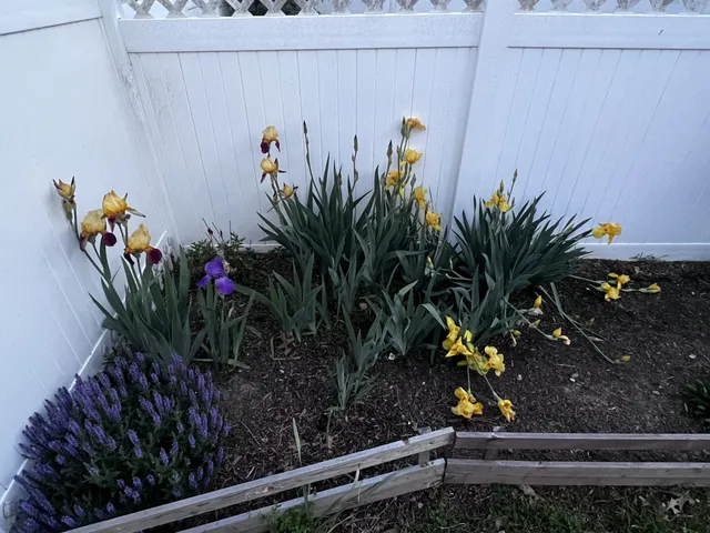 a view of a balcony with chairs
