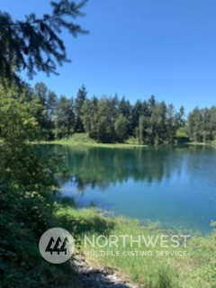 0 Jare Street Southwest Rochester, WA 98579 - Photo 4 of 8