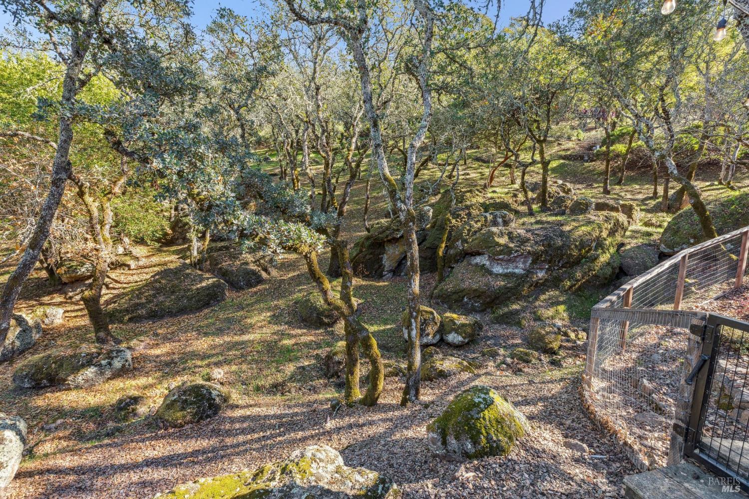 6 Old Coach Road Napa, CA 94558 - Photo 30 of 89