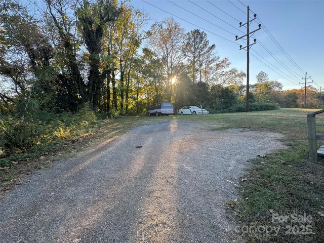 a view of a yard with a tree