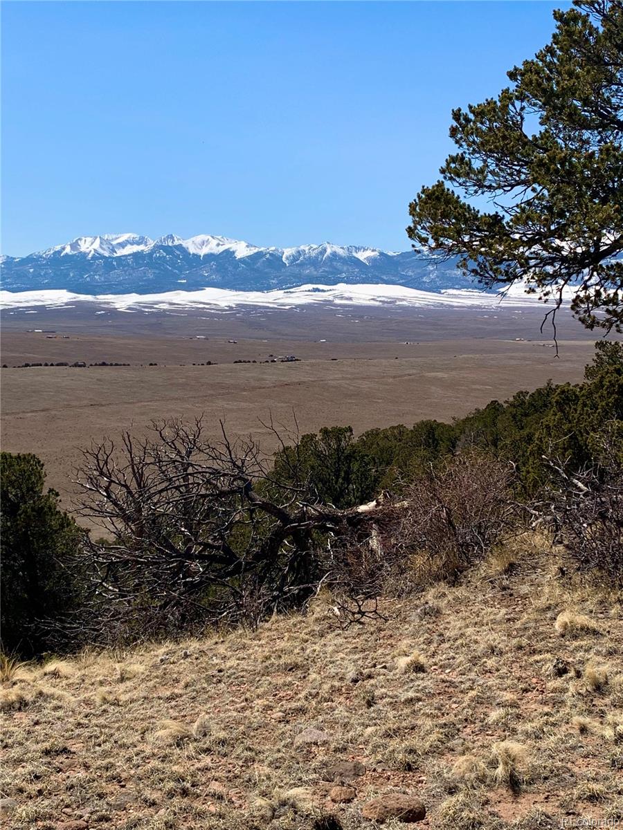 3090 Timber Ridge Road Westcliffe, CO 81252 - Photo 7 of 11