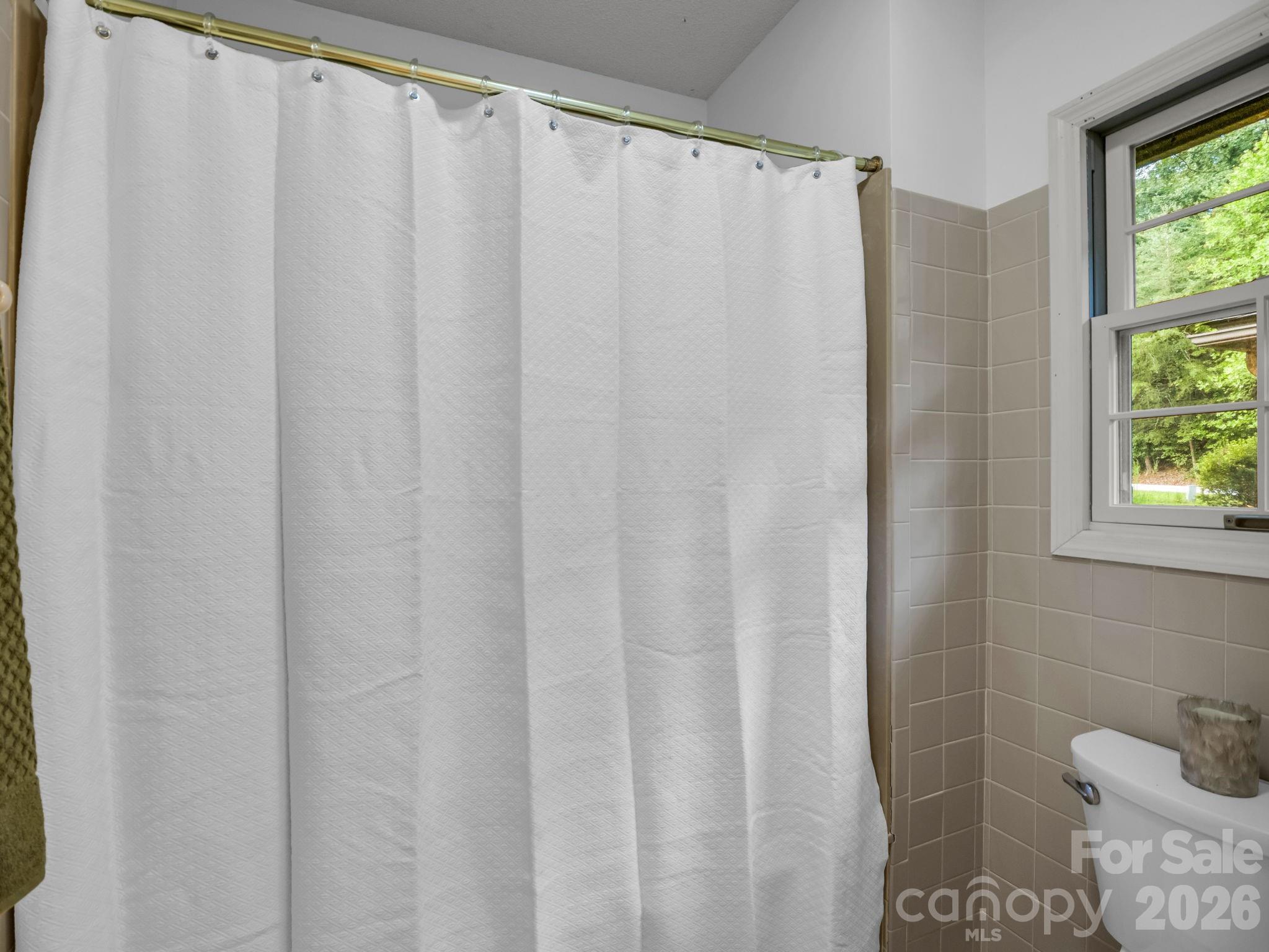 234 Club Road Tryon, NC 28782 - Photo 26 of 38 Gallery Image 26