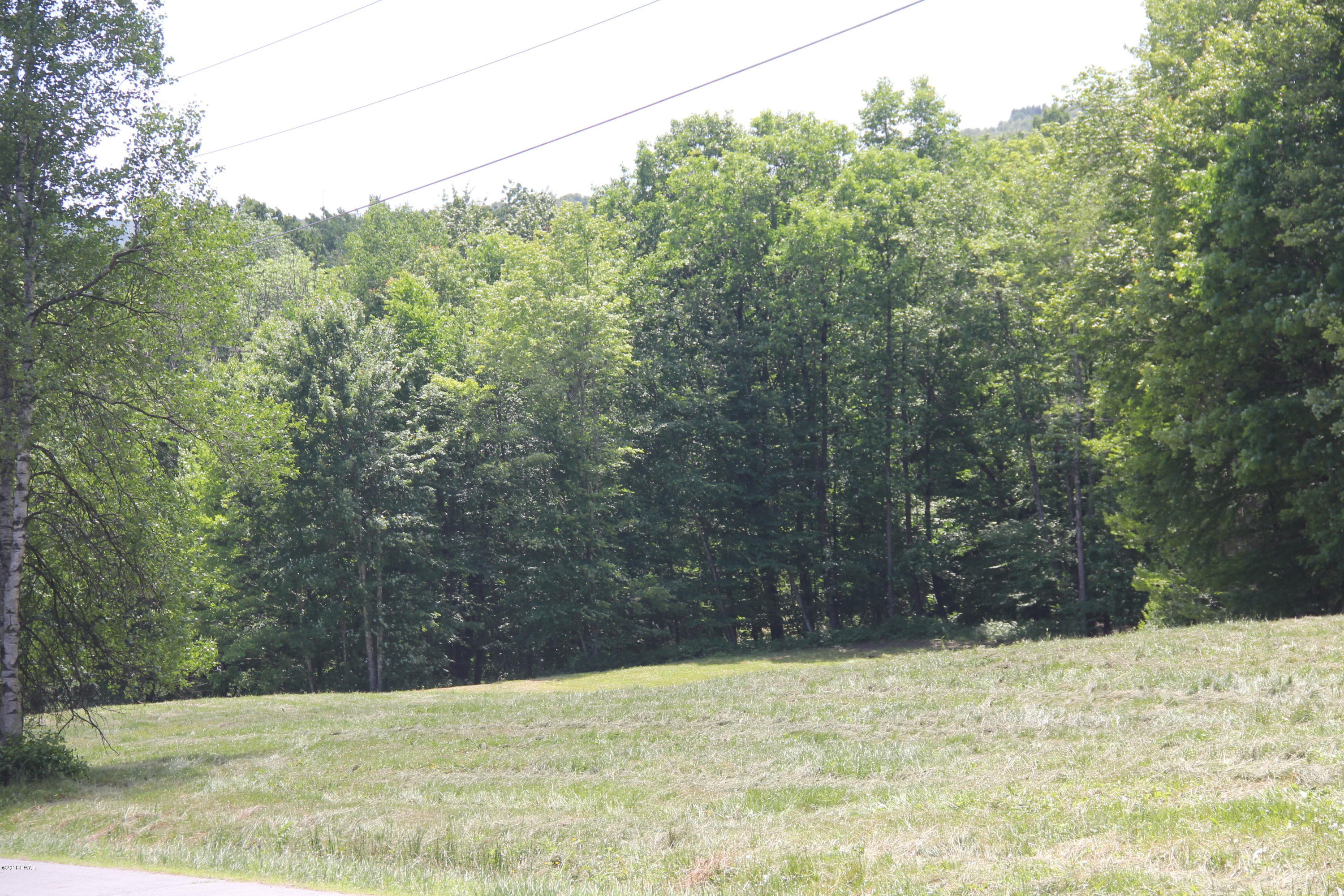 Old Danzer Road Livingston Manor, NY 12758 - Photo 4 of 4