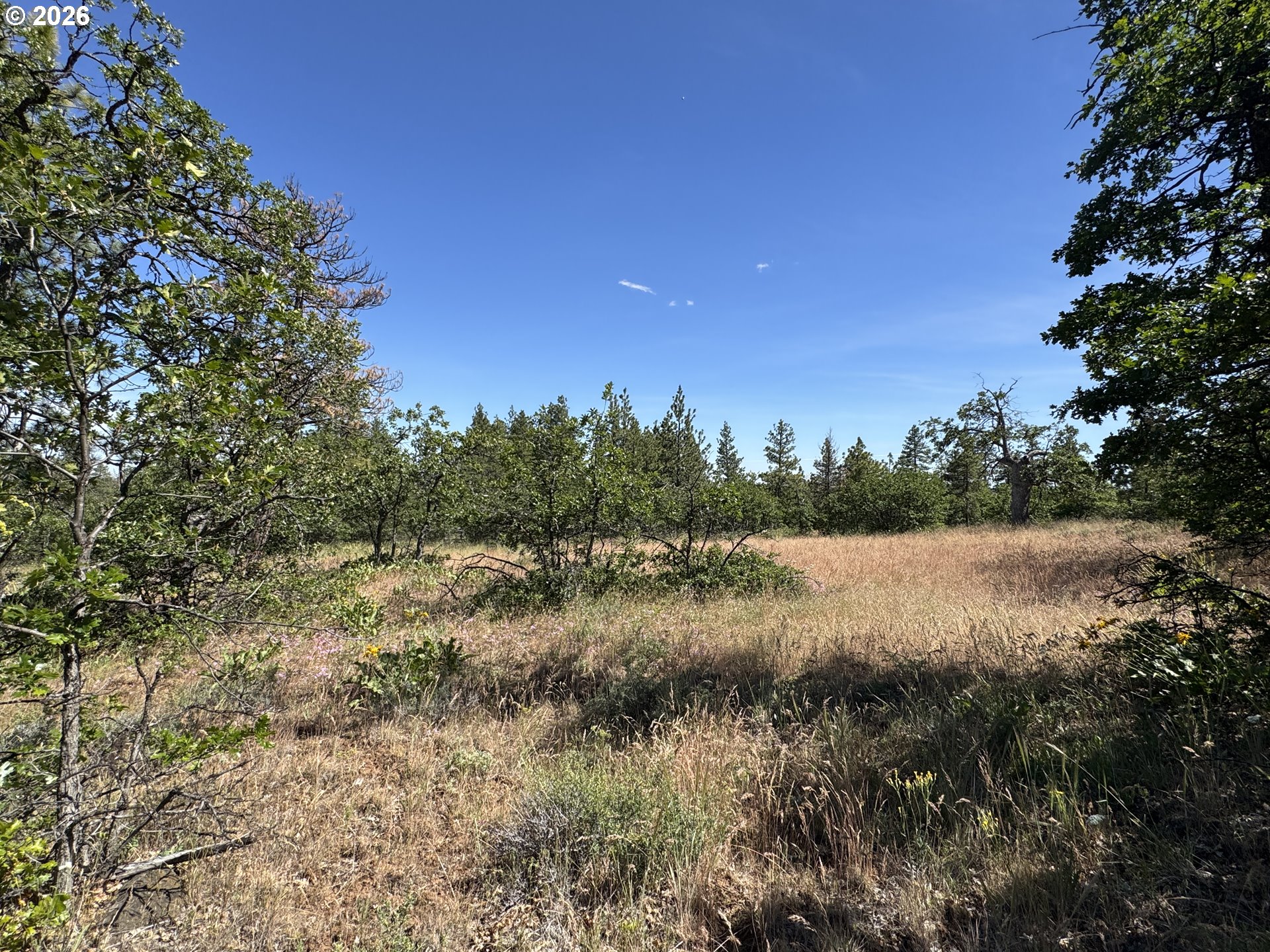 112 Timber Road Roosevelt, WA 99356 - Photo 22 of 31