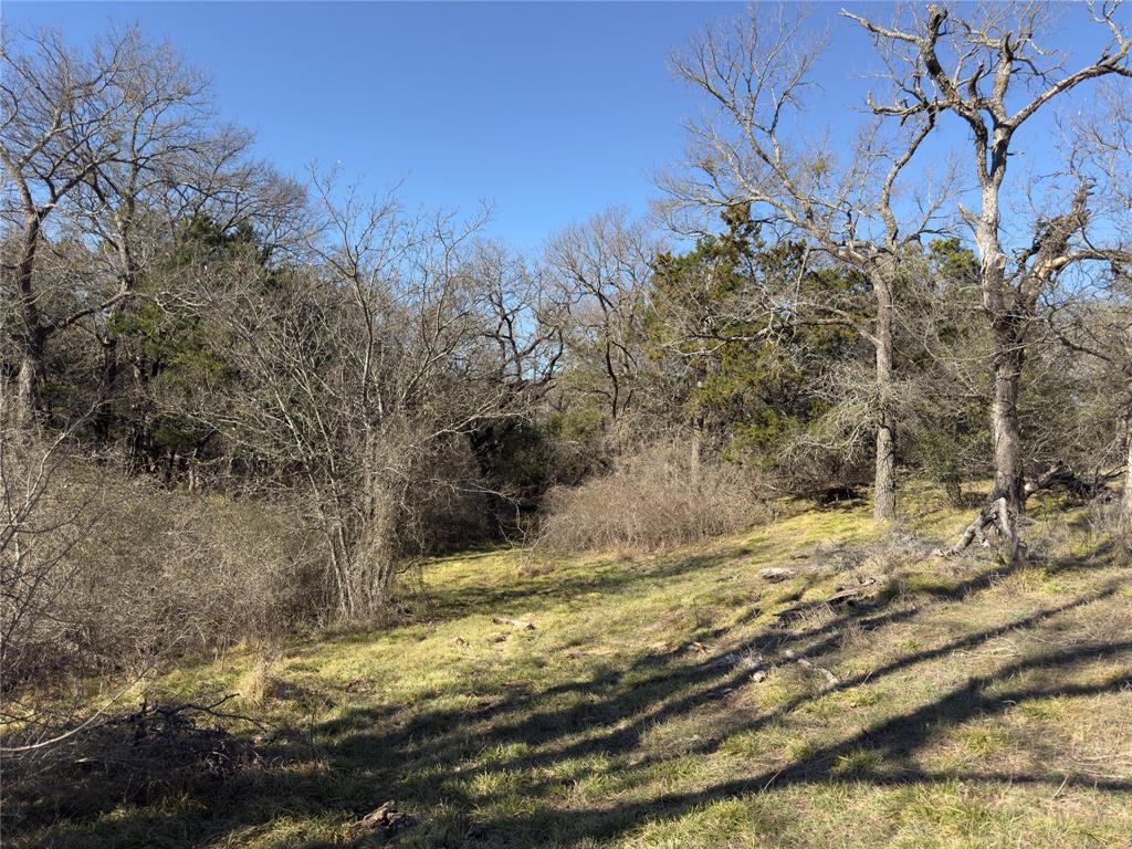 3697 North Rock Creek Loop Waco, TX 76708 - Photo 20 of 30 a view of a yard with trees