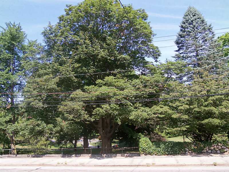 7 Granite Street Westerly, RI 02891 - Photo 4 of 25 Yard/Garden.