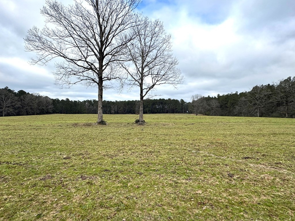 Xxx Emerald State Line Road Osyka, MS 39657 - Photo 12 of 20 Photo 12