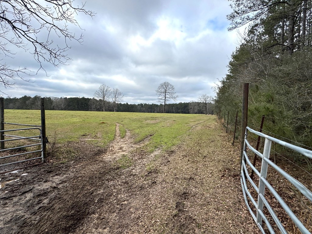 Xxx Emerald State Line Road Osyka, MS 39657 - Photo 13 of 20 Photo 13