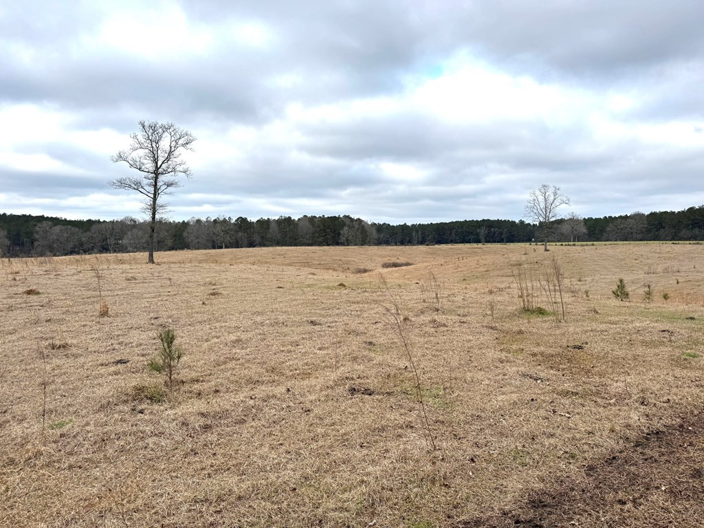 Xxx Emerald State Line Road Osyka, MS 39657 - Photo 14 of 20 Photo 14
