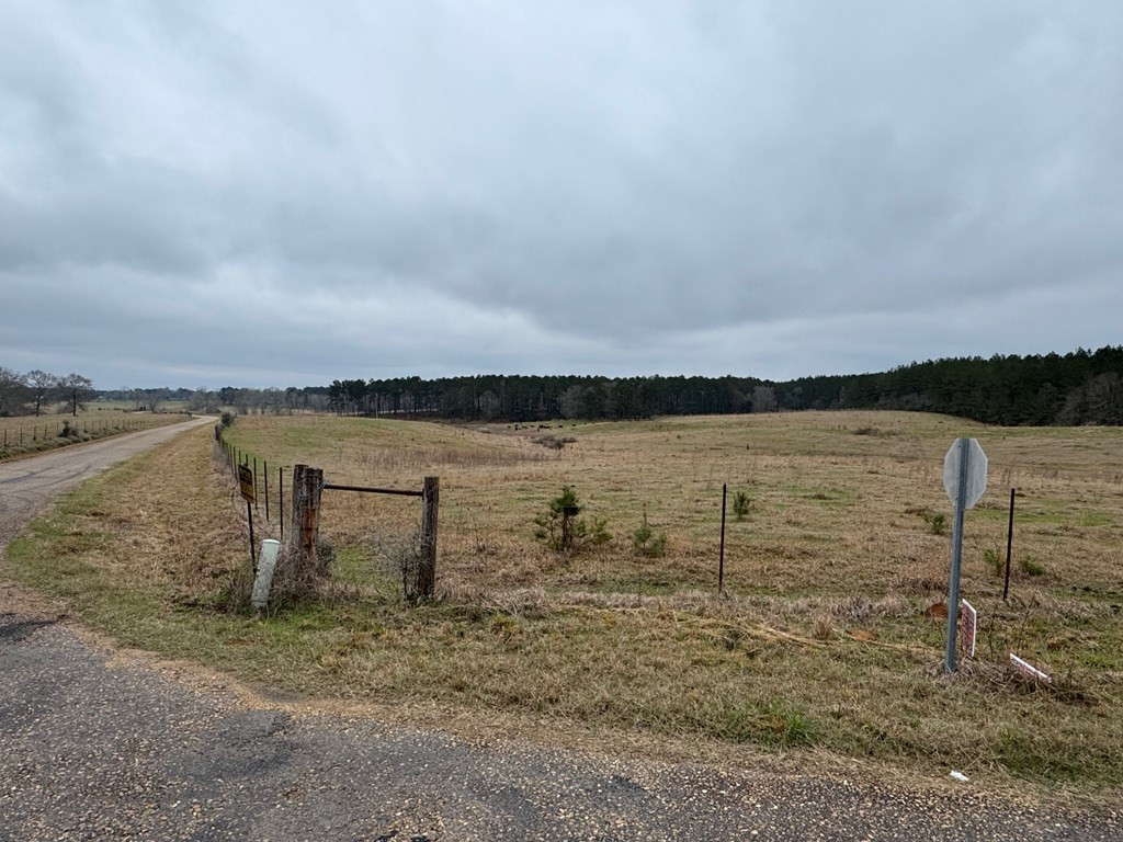 Xxx Emerald State Line Road Osyka, MS 39657 - Photo 17 of 20 Photo 17