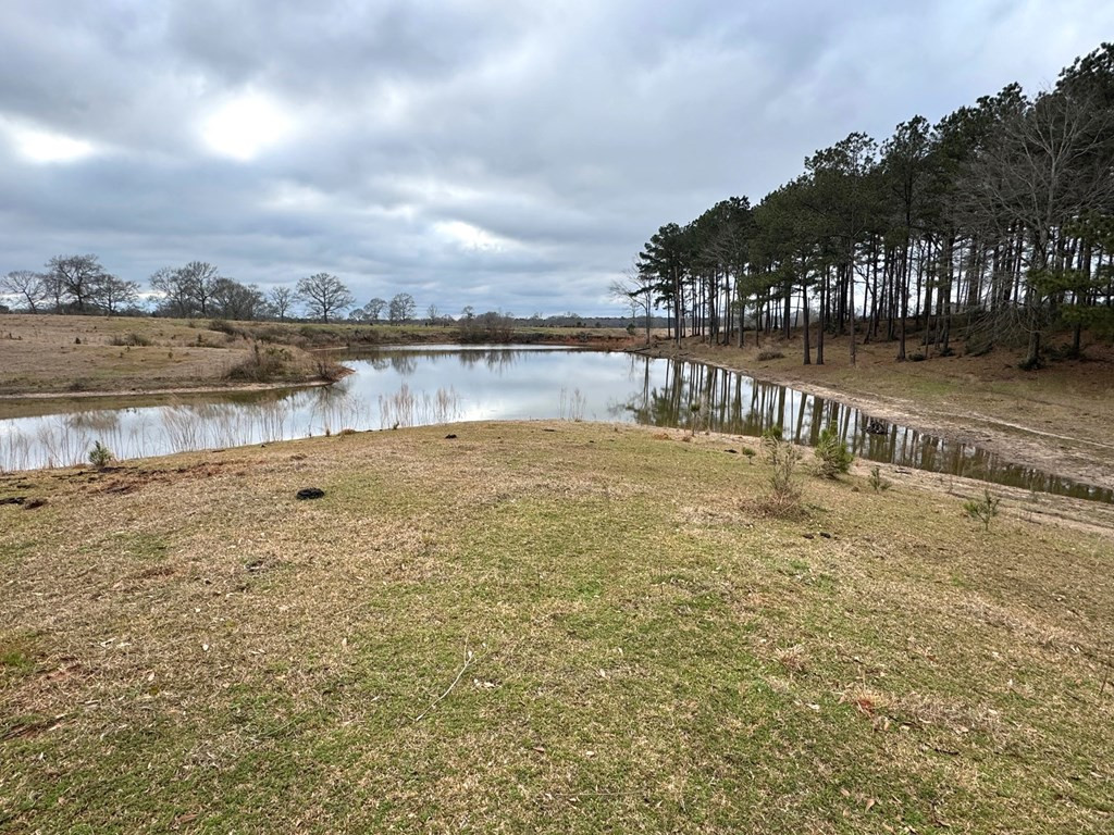 Xxx Emerald State Line Road Osyka, MS 39657 - Photo 8 of 20 Photo 8