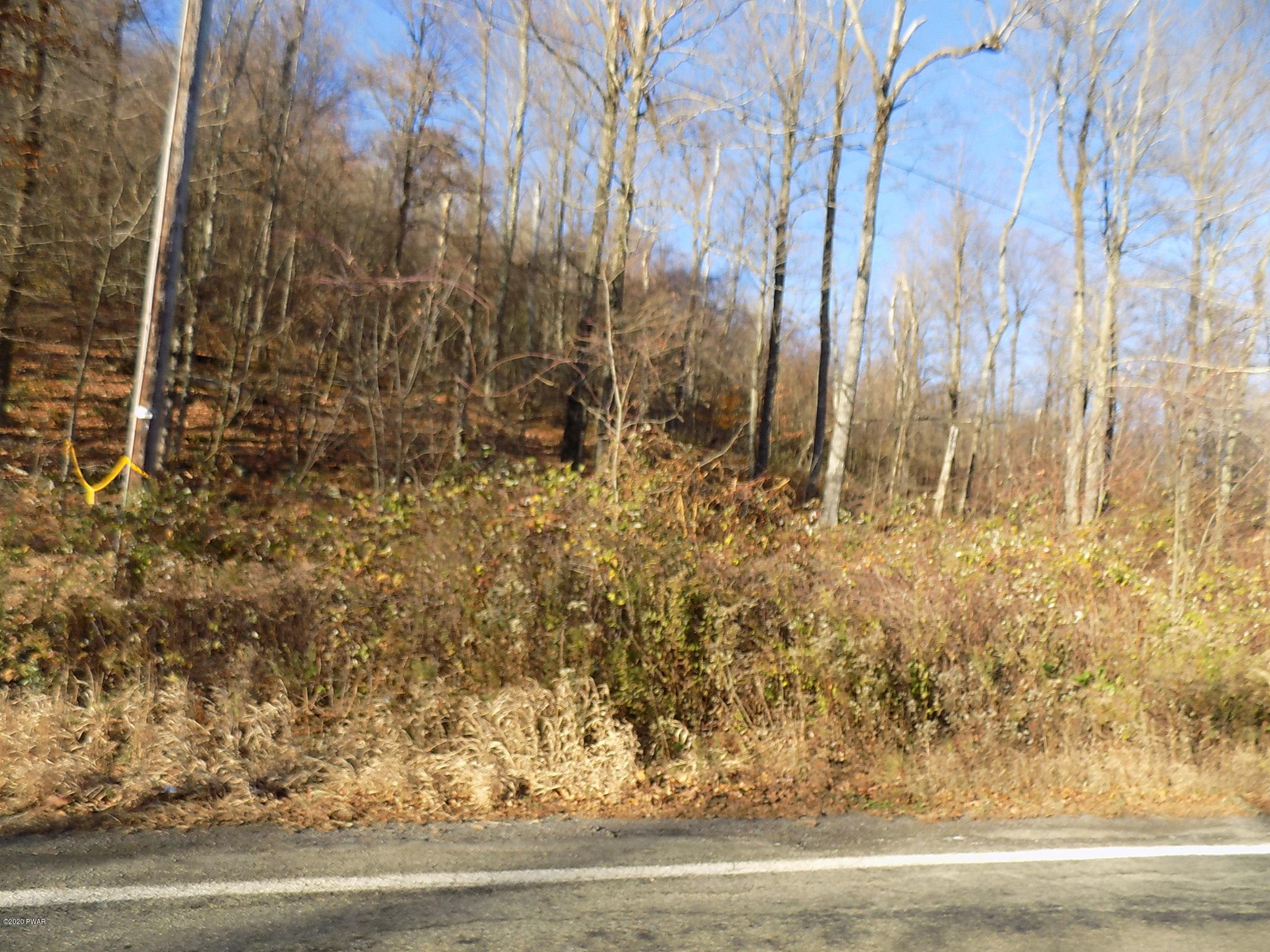 57-acres Sterling Road Newfoundland, PA 18445 - Photo 6 of 21