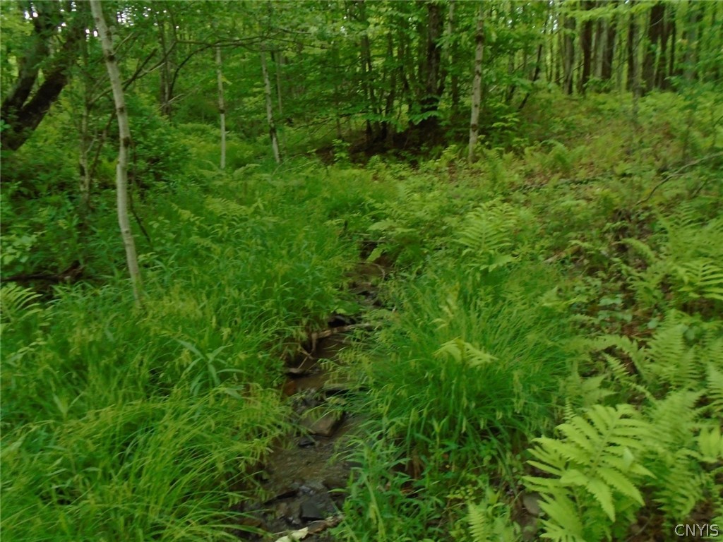 Lot B Pitcher Hill Road Pitcher, NY 13136 - Photo 15 of 29 Gallery Image 15