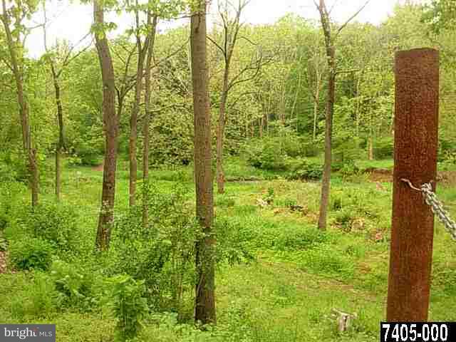Muddy Creek Road Delta, PA 17314 - Photo 4 of 5 Gallery Image 4