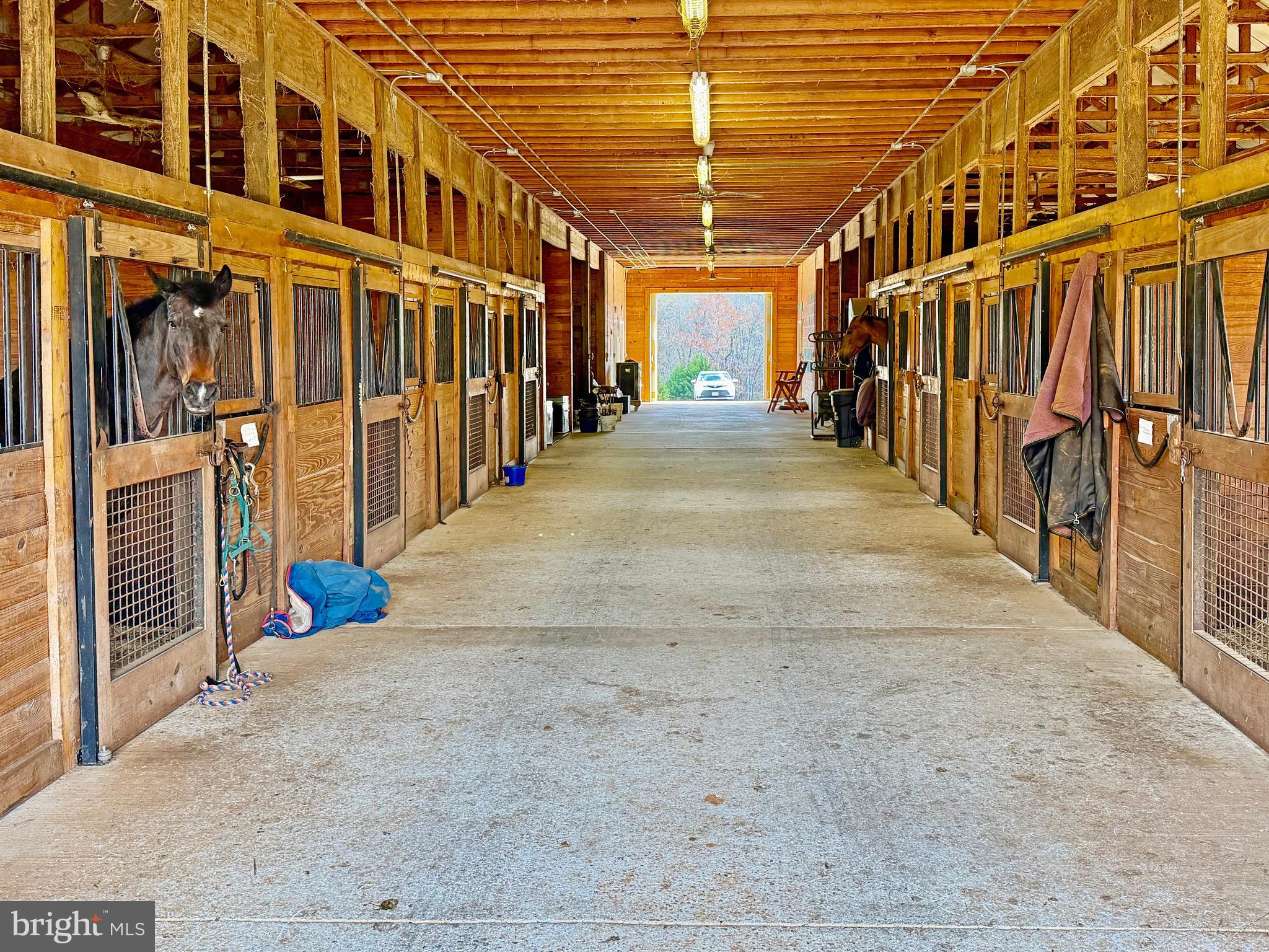 6277 Griffinsburg Road Reva, VA 22735 - Photo 18 of 20 Stable interior