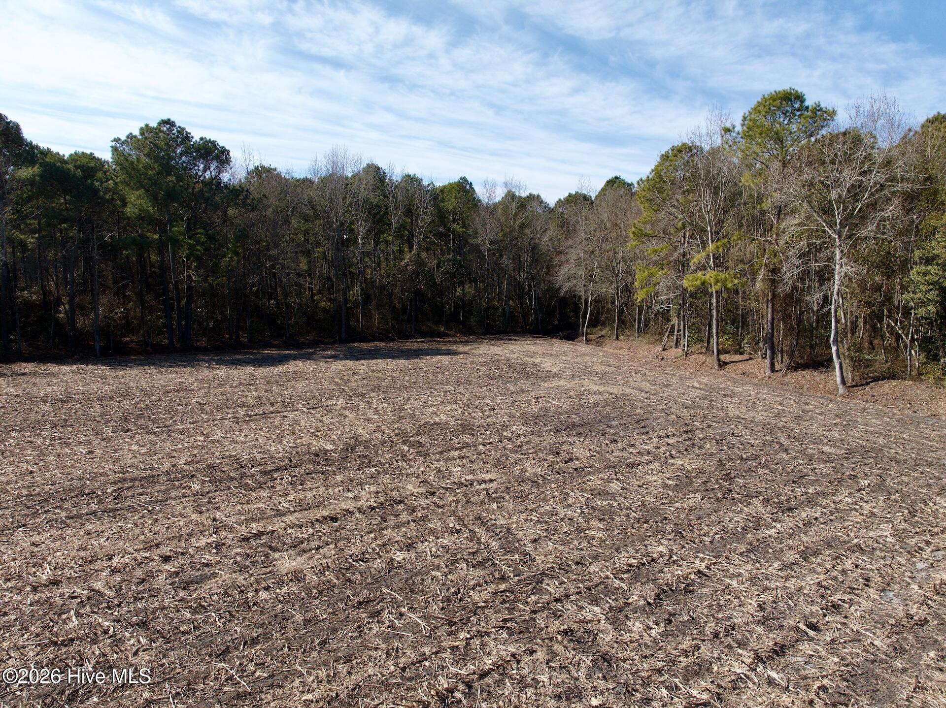 0 Sandy Ridge Road Tyner, NC 27980 - Photo 26 of 43 Chowan Smith - 30