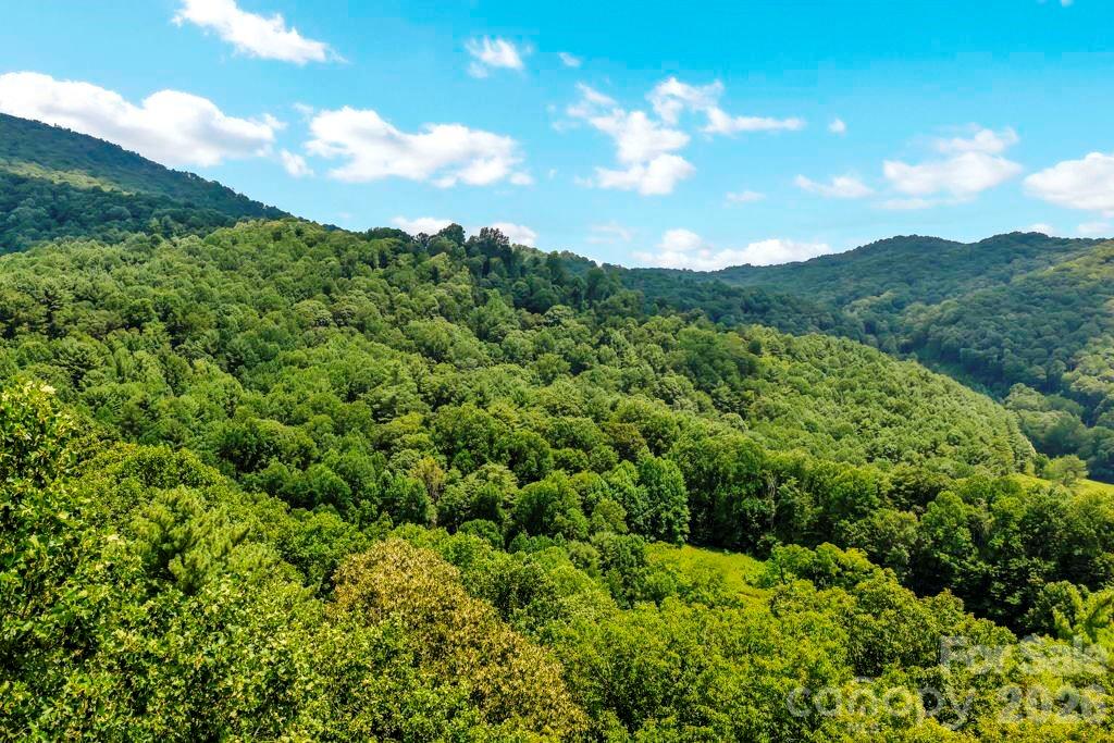 Tbd Council Ward Road Sugar Grove, NC 28679 - Photo 1 of 18 Gallery Image 1
