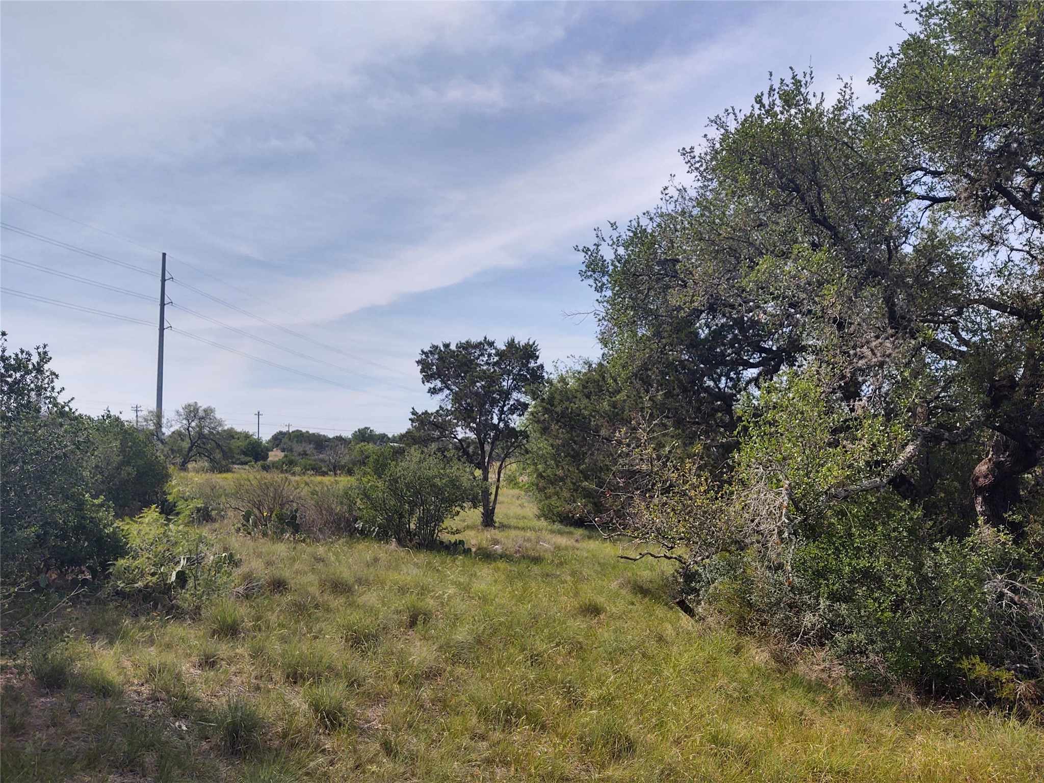 0 Mountain Dew Road Horseshoe Bay, TX 78657 - Photo 8 of 18 View of local wilderness