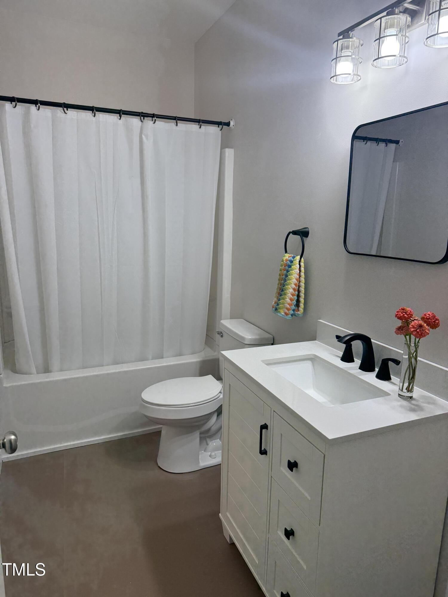 405 Sam Allen Road Roper, NC 27970 - Photo 12 of 32 a bathroom with a sink a toilet and a mirror