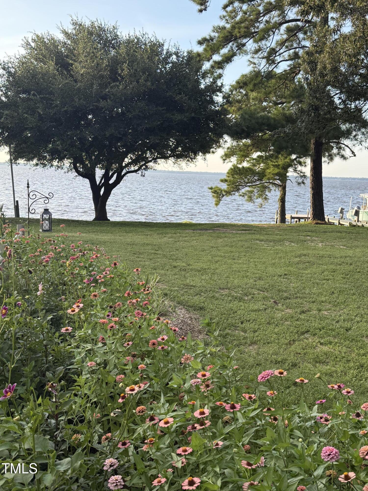405 Sam Allen Road Roper, NC 27970 - Photo 28 of 32 a view of a yard with an trees