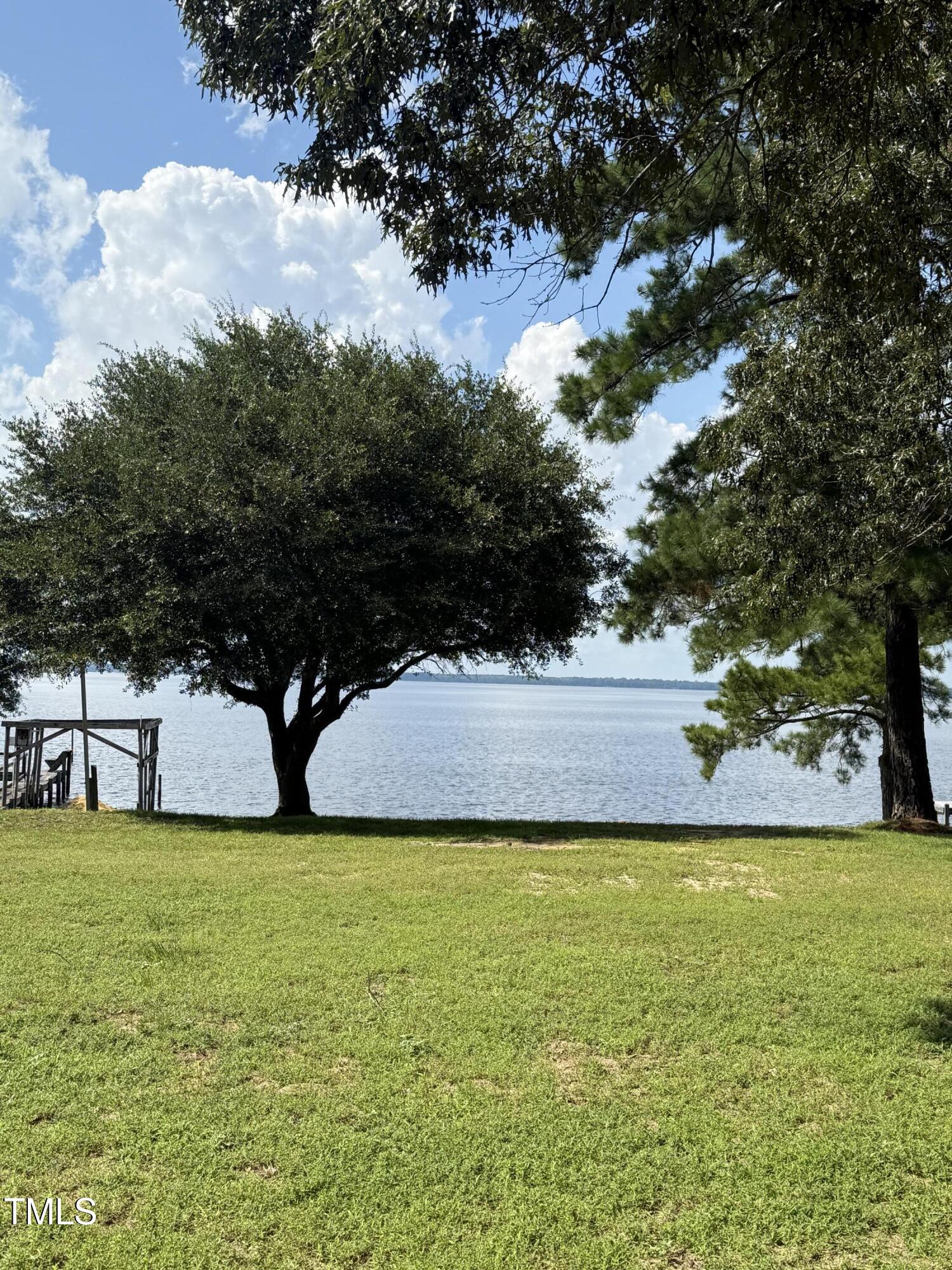 405 Sam Allen Road Roper, NC 27970 - Photo 30 of 32 a view of a tree next to a yard