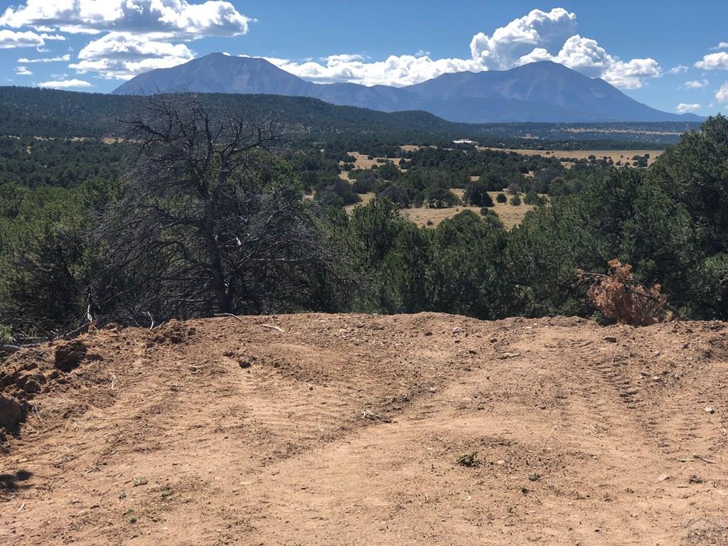 Lot 64 River Ridge Trail La Veta, CO 81055 - Photo 11 of 29
