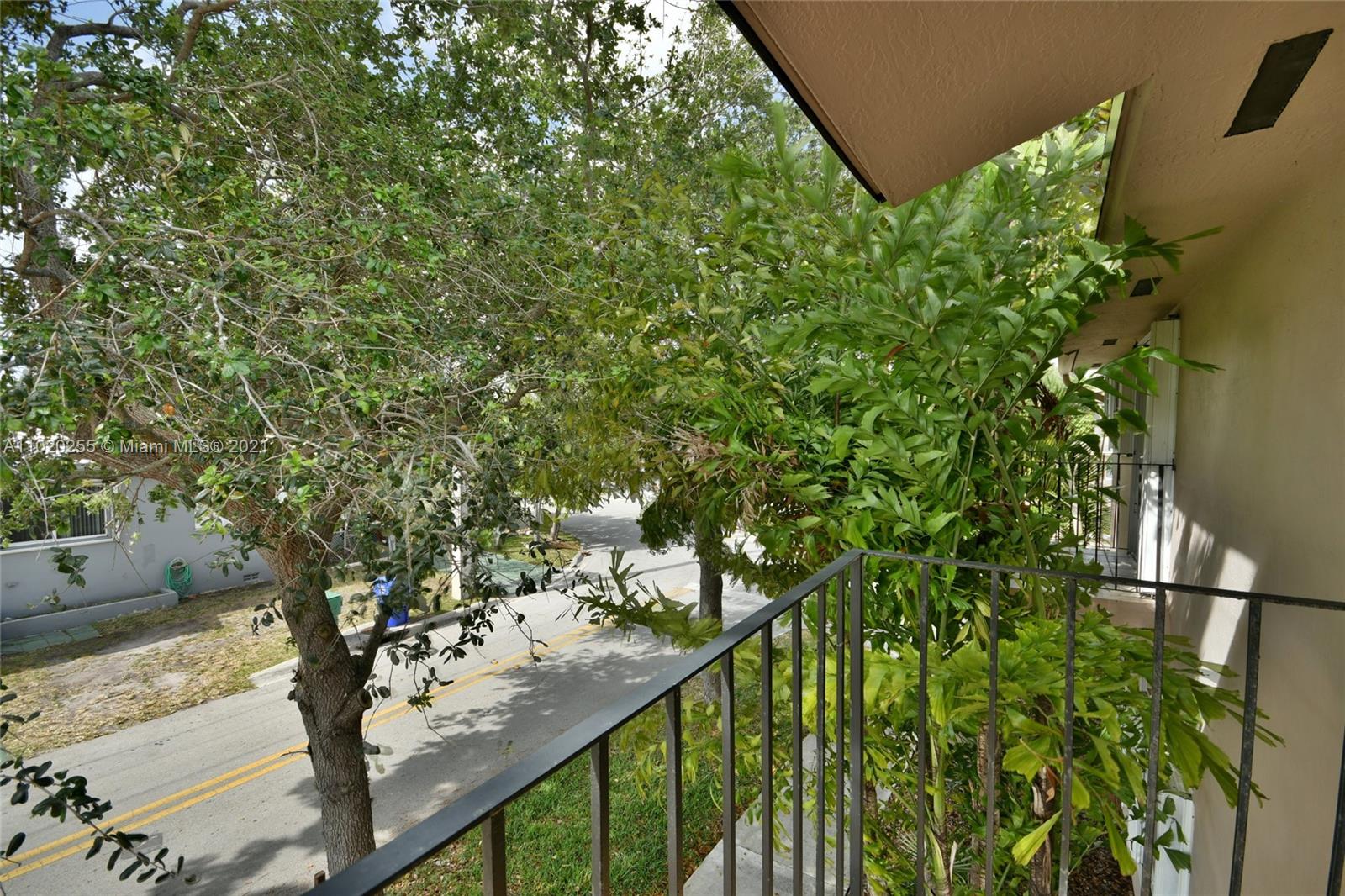 3141 Southwest 27th Terrace, Unit B Miami, FL 33133 - Photo 2 of 15 a view of a yard with plants