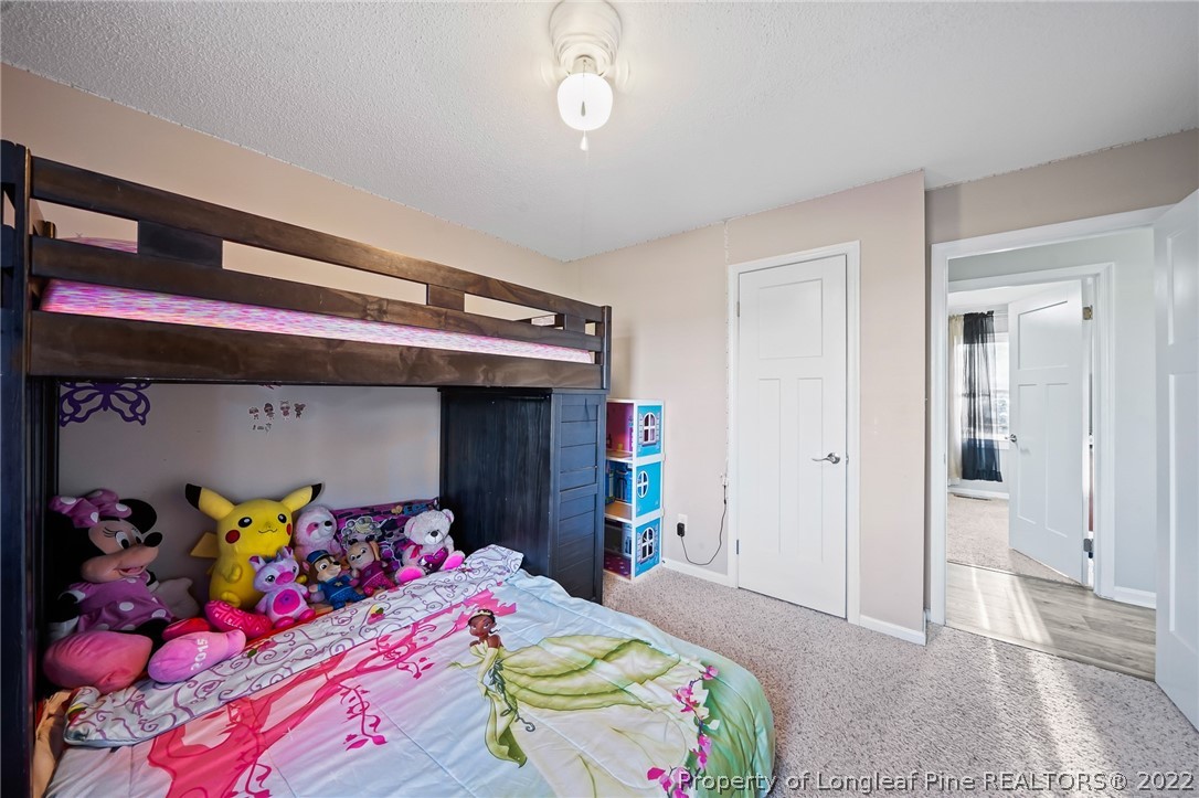 384 Massengill Farm Road Benson, NC 27504 - Photo 21 of 36 Gallery Image 21