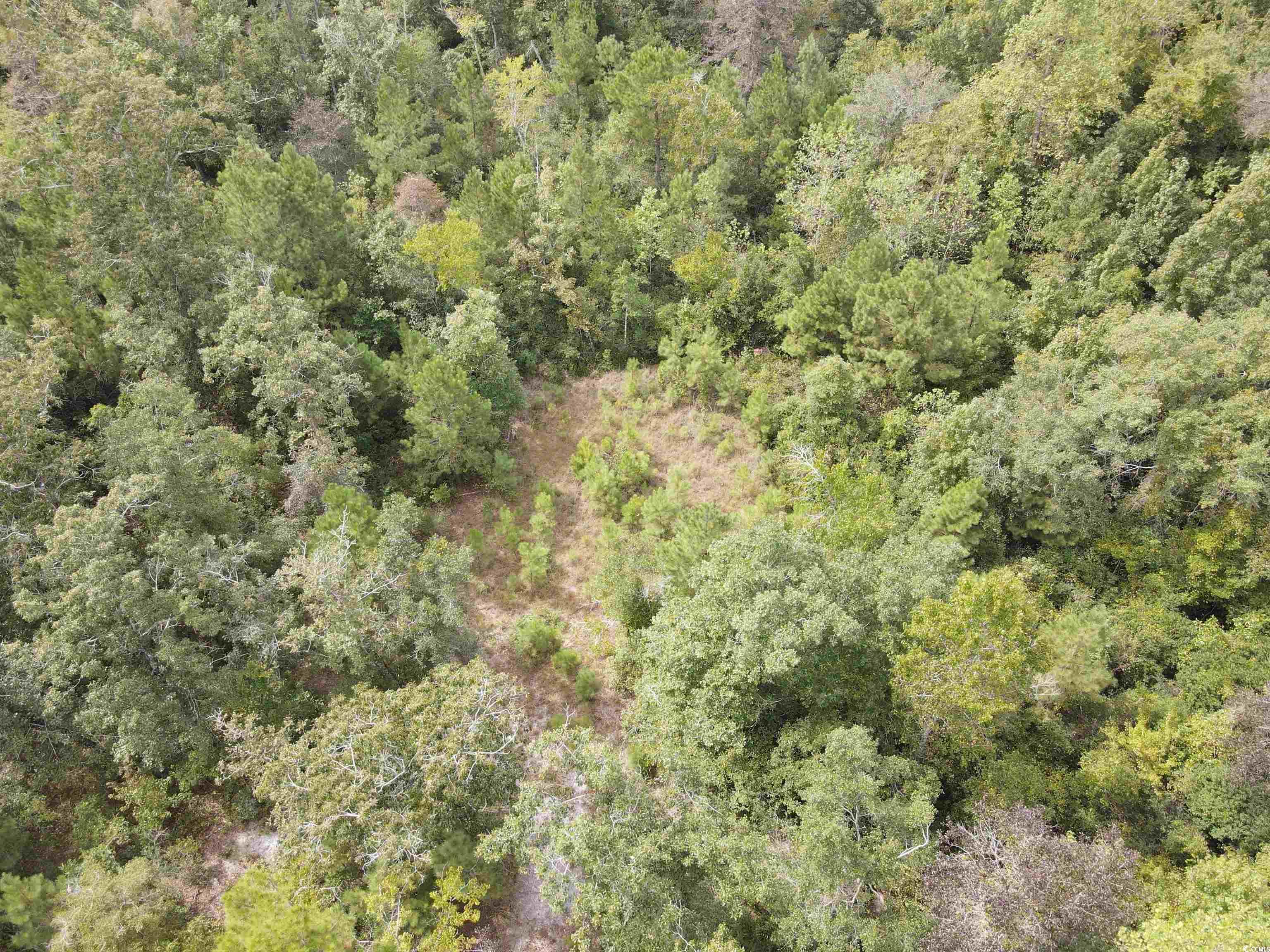 Lot 6 Rainbow Drive Loris, SC 29569 - Photo 14 of 21