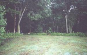 17 Quail Road Kunkletown, PA 18058 - Photo 1 of 10 Wooded Lot