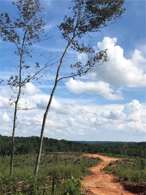 11 Damascus Road Ball Ground, GA 30107 - Photo 1 of 1 ...this could be your drive-way to elevated long distance views!!!