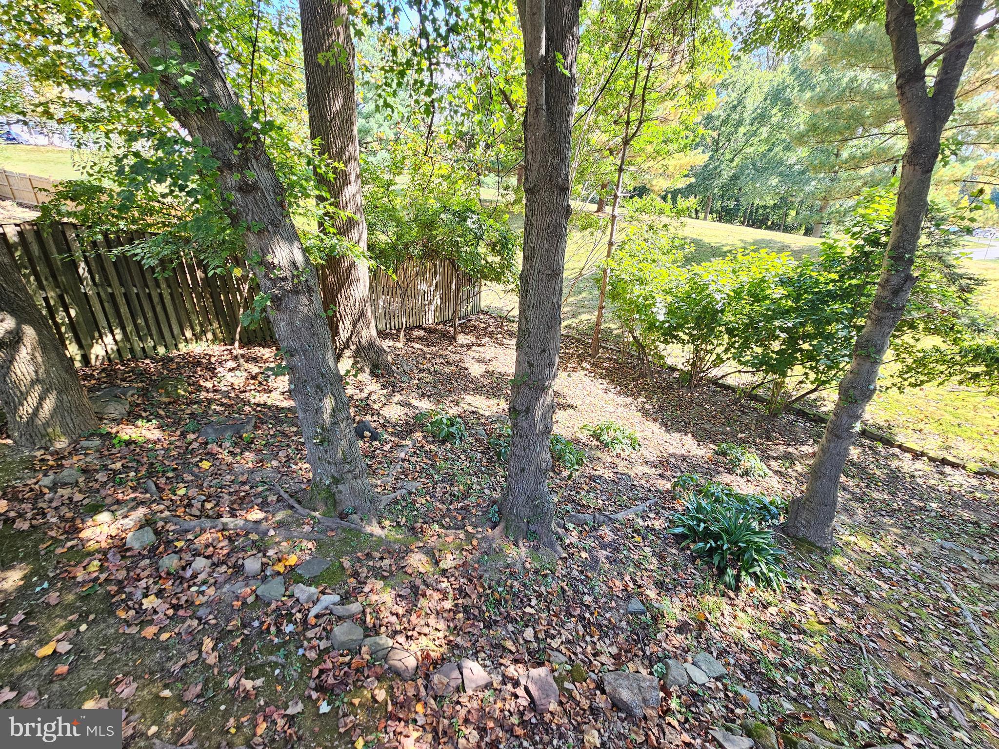 11321 Classical Lane Silver Spring, MD 20901 - Photo 56 of 66 a view of outdoor space and yard