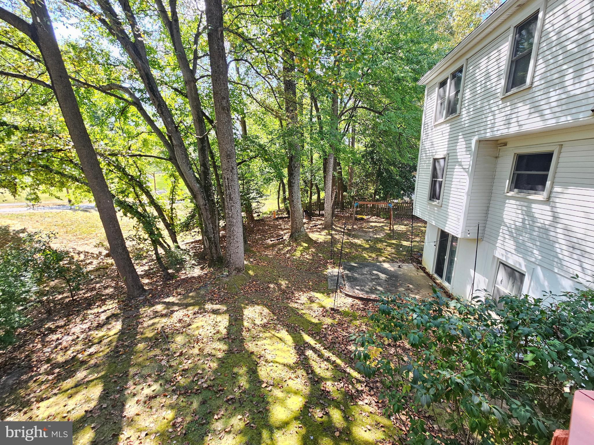 11321 Classical Lane Silver Spring, MD 20901 - Photo 57 of 66 a view of a large tree in front of a house