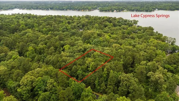 $11,000 | Lot 236 Canadian Drive, Scroggins, TX 75480