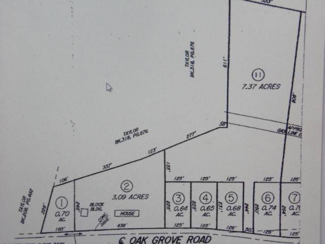 Survey Pic OAk